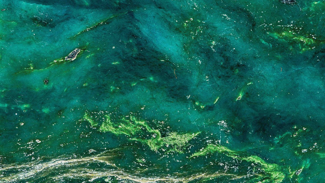 Green stone.