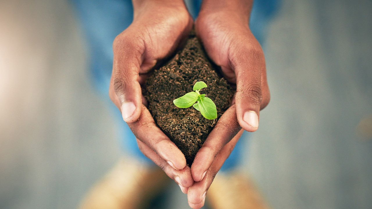 A man holding plant; image used HSBC Singapore Wealth Article page.