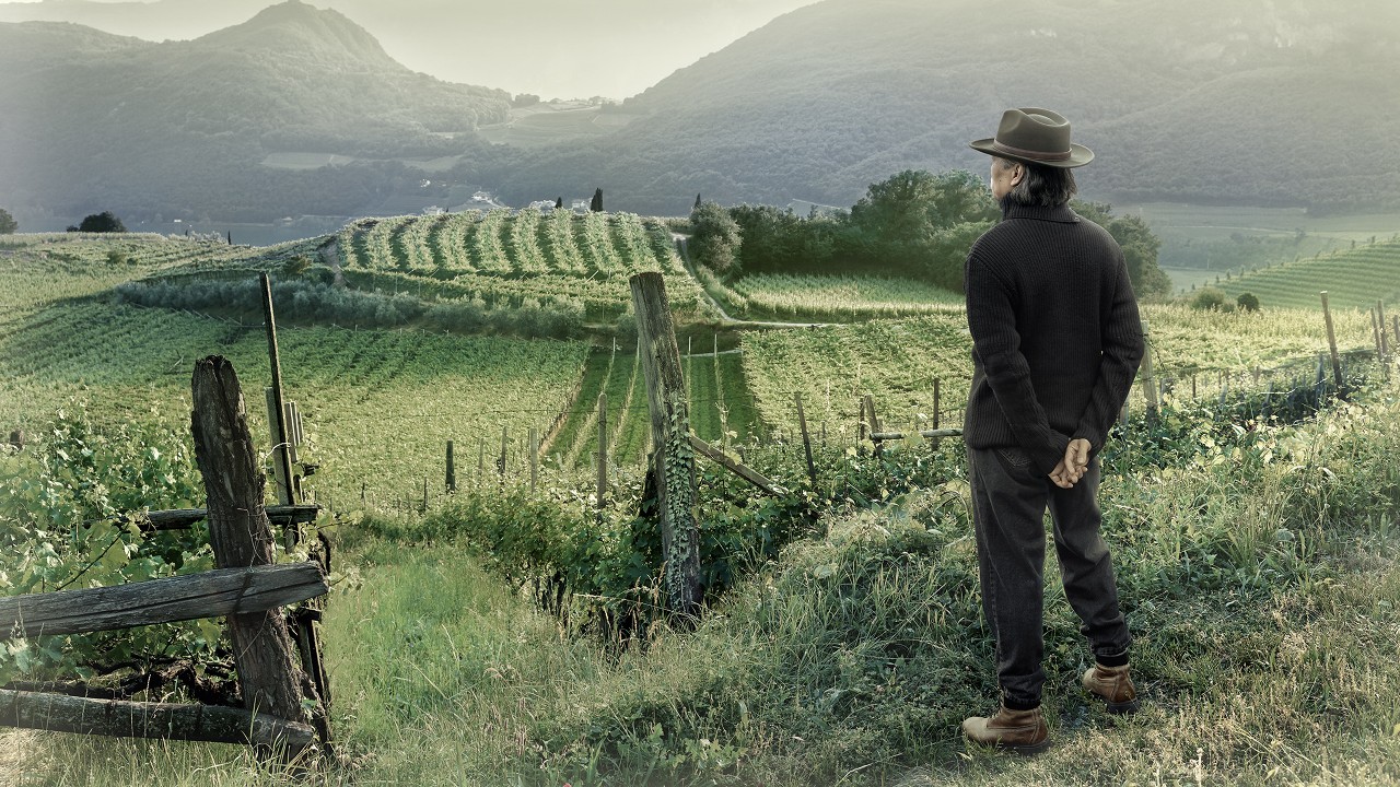 A man over looking vineyard; image used for HSBC Singapore Jade Wealth Management.