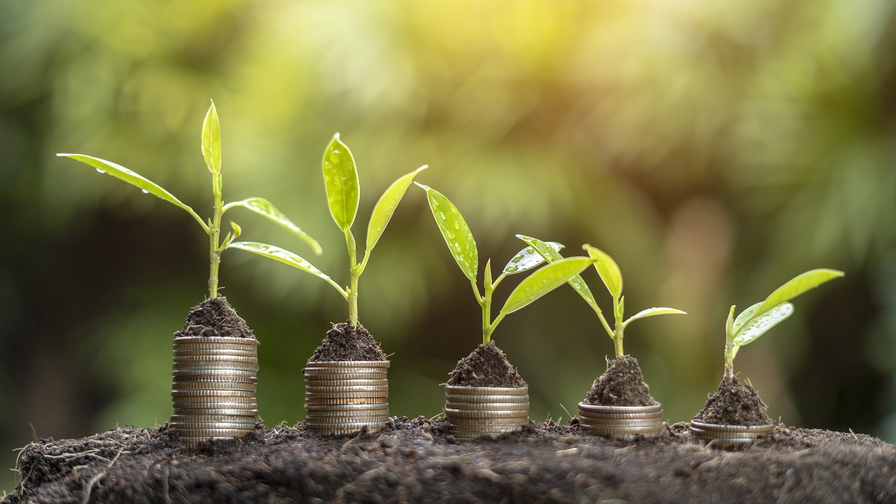 Stacked coins sprouting green shoots, like money growing; image used for HSBC Jump into the world of trust units article page.