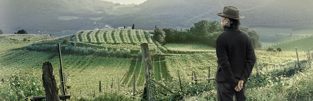 A man over looking vineyard; image used for HSBC Singapore Jade Wealth Management.