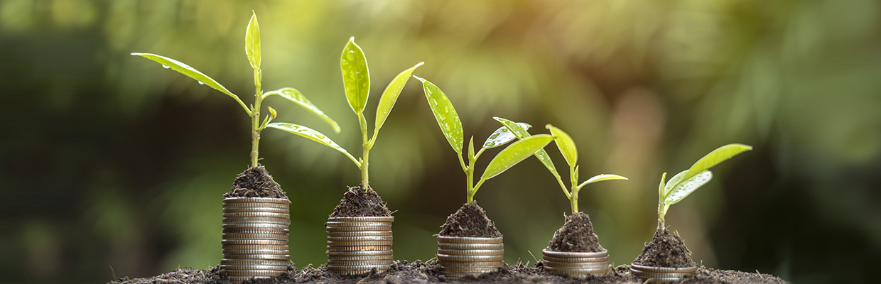 Stacked coins sprouting green shoots, like money growing; image used for HSBC Jump into the world of trust units article page. 