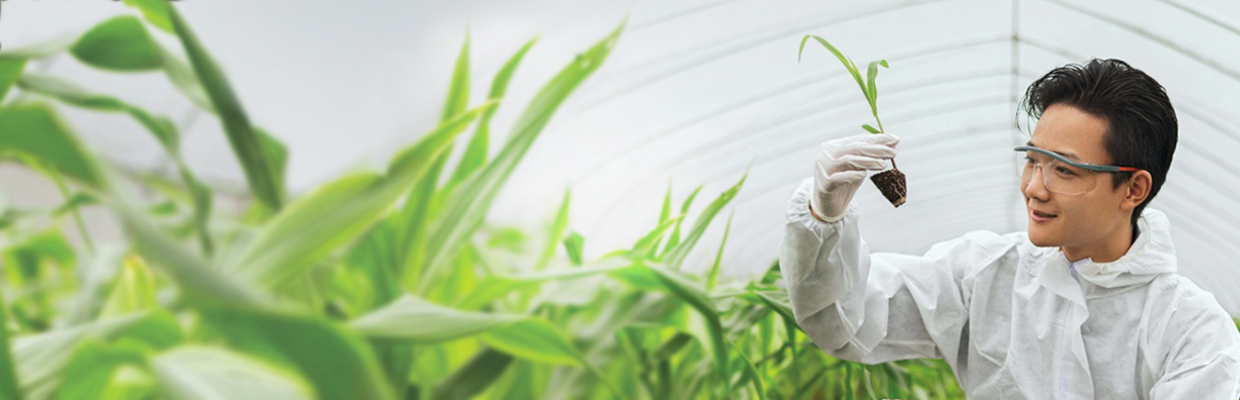 Man holding green plant; image used for HSBC Singapore Wealth Portfolio Lending.